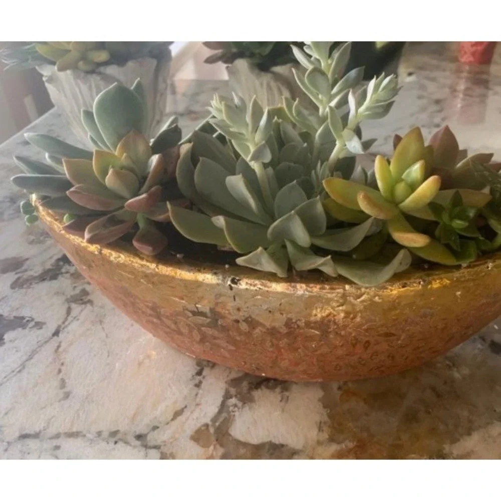 Anthropologie Studio Vine‎ Pot Gold Flake Design Plants Succulent Flower Pot